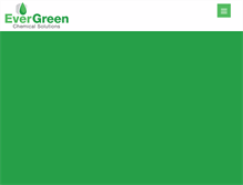 Tablet Screenshot of evergreenchems.com
